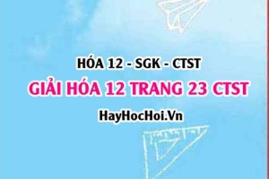Giải Hóa 12 trang 23 Chân trời sáng tạo SGK